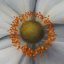 info@augenblick-flaechendesign.de